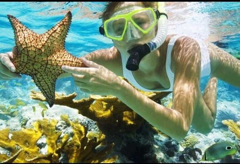 Bali: Blue Lagoon and Tanjung Jepun Snorkeling Trip - Small details that improve the day