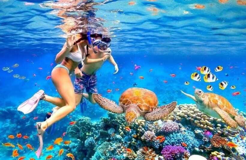 Bali: Blue Lagoon and Tanjung Jepun Snorkeling Trip - Should you book Blue Lagoon and Tanjung Jepun?