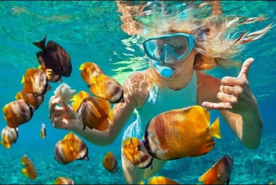 Bali: Blue Lagoon and Tanjung Jepun Snorkeling Trip - What the morning or day looks like