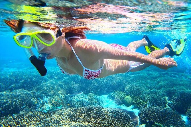 Bali Blue Lagoon and Tanjung Jepun Snorkeling with Transport - Two reef stops make this a better half-day outing
