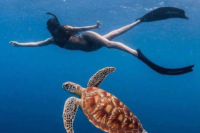 Bali Blue Lagoon and Tanjung Jepun Snorkeling with Transport - The drive from Seminyak matters