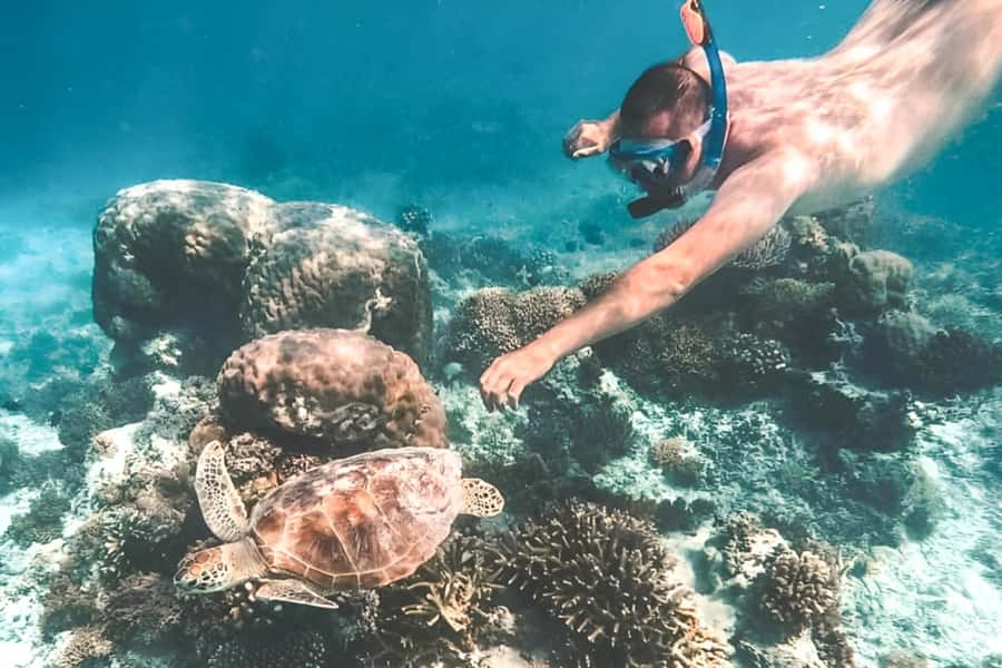 Bali: Blue Lagoon Beach Snorkeling Tour with Lunch - Key points at a glance