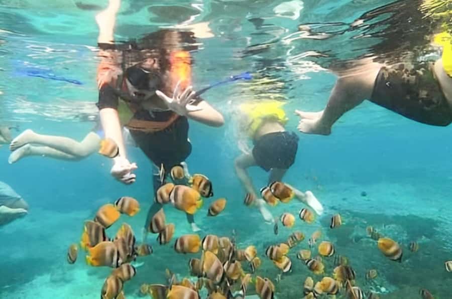Bali: Blue Lagoon Beach Snorkeling Tour with Lunch - Optional stops beyond the reef