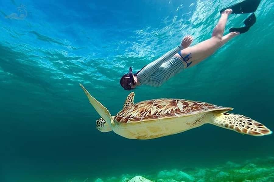 Bali: Blue Lagoon Beach Snorkeling Tour with Lunch - What the $18 price really buys you