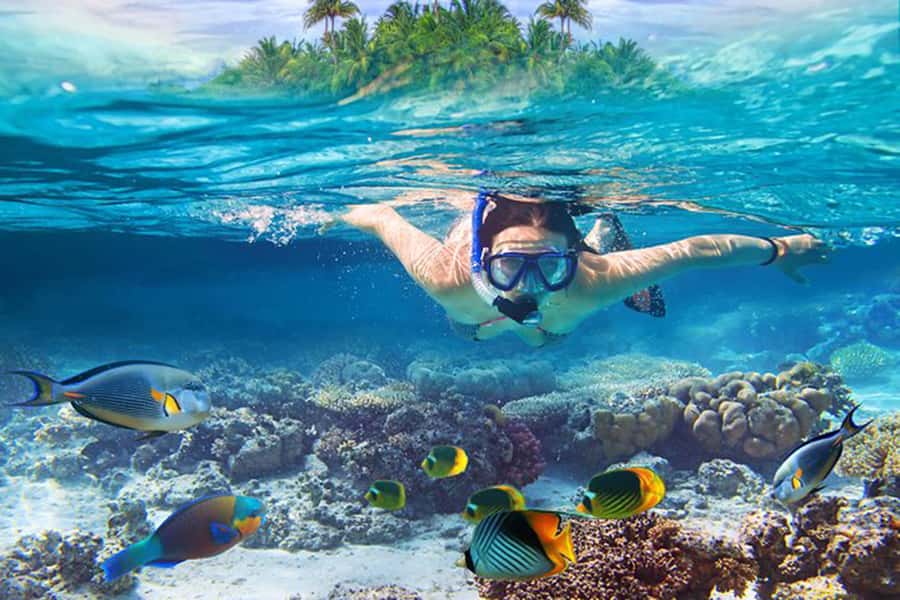Bali: Blue Lagoon Beach Snorkeling Tour with Lunch - Blue Lagoon, the first look beneath the surface
