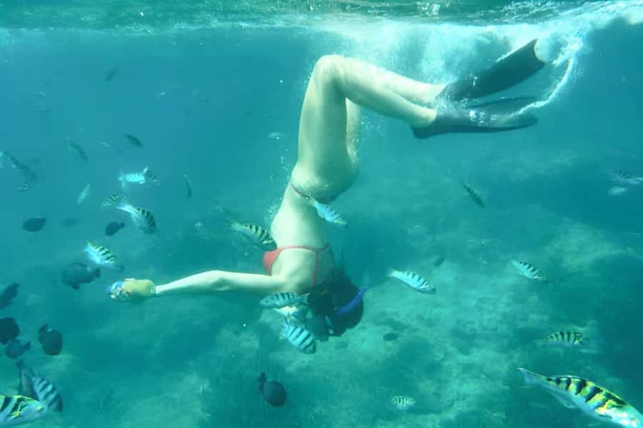 Bali: Blue Lagoon Beach Snorkeling Tour with Lunch - Tanjung Jepun and the best chance for variety