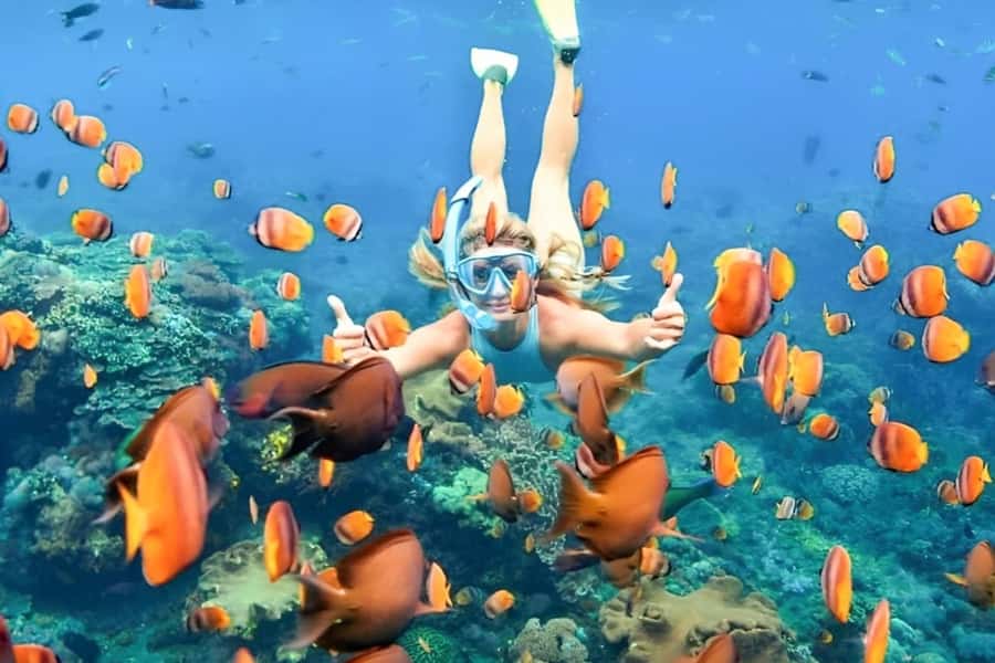 Bali: Blue Lagoon Beach Snorkeling Tour with Lunch - Getting to Padangbai and meeting the boat