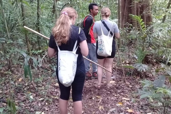 Bali Blue Lagoon Snorkeling and Waterfall Day Tour with Lunch - The $41 price and what it covers