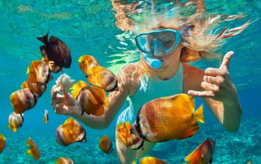Bali: Blue Lagoon Snorkeling Inclusive of Lunch & Transport - Key points to know before you book