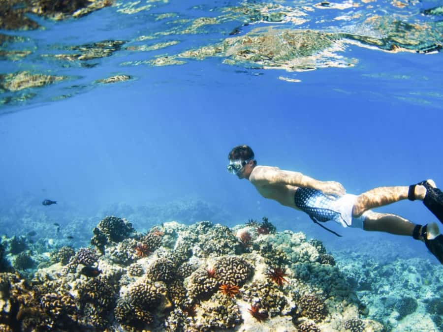 Bali: Blue Lagoon Snorkeling Inclusive of Lunch & Transport - Reaching Blue Lagoon from Denpasar or Ubud