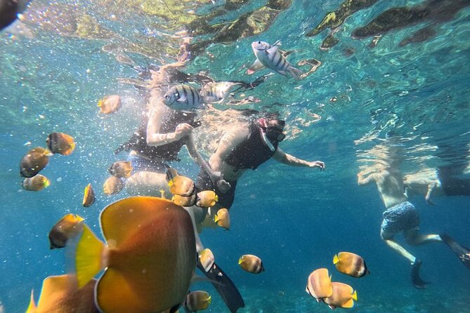 Bali Blue Lagoon Snorkeling Ticket And Transfer - Key points to know before booking