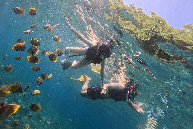 Bali Blue Lagoon Snorkeling Ticket And Transfer - Help for beginners, children, and nervous swimmers