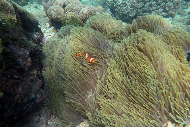 Bali Blue Lagoon Snorkeling Ticket And Transfer - The drive from Seminyak to Padangbai