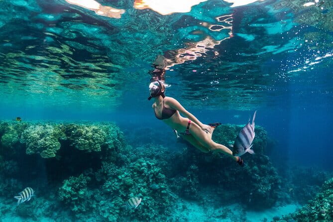 Bali Blue Lagoon Snorkeling Tour All Inclusive - Two Padang Bai snorkeling sites in one day