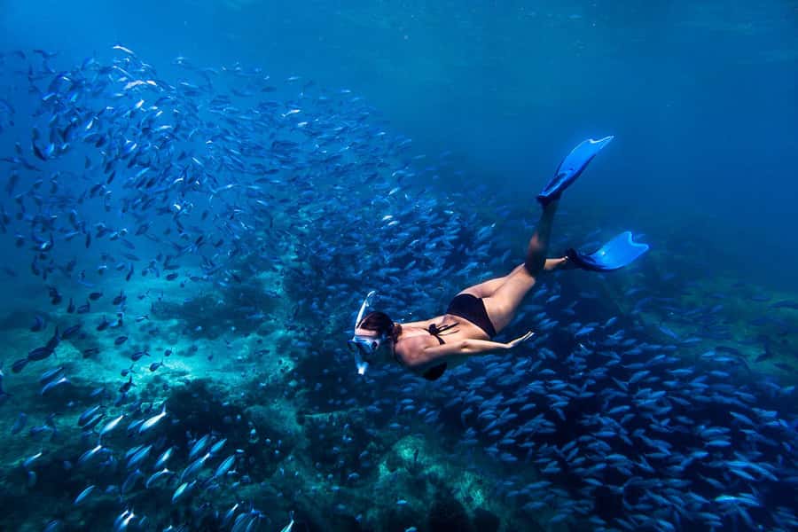 Bali: Blue Lagoon Snorkeling & Waterfall Tour with Lunch - Two reef stops in Bali’s calm eastern waters