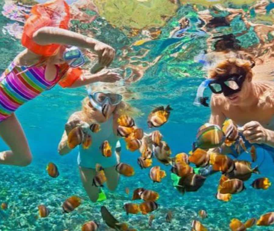 Bali: Blue Lagoon Snorkeling & Waterfall Tour with Lunch - The guides make the difference