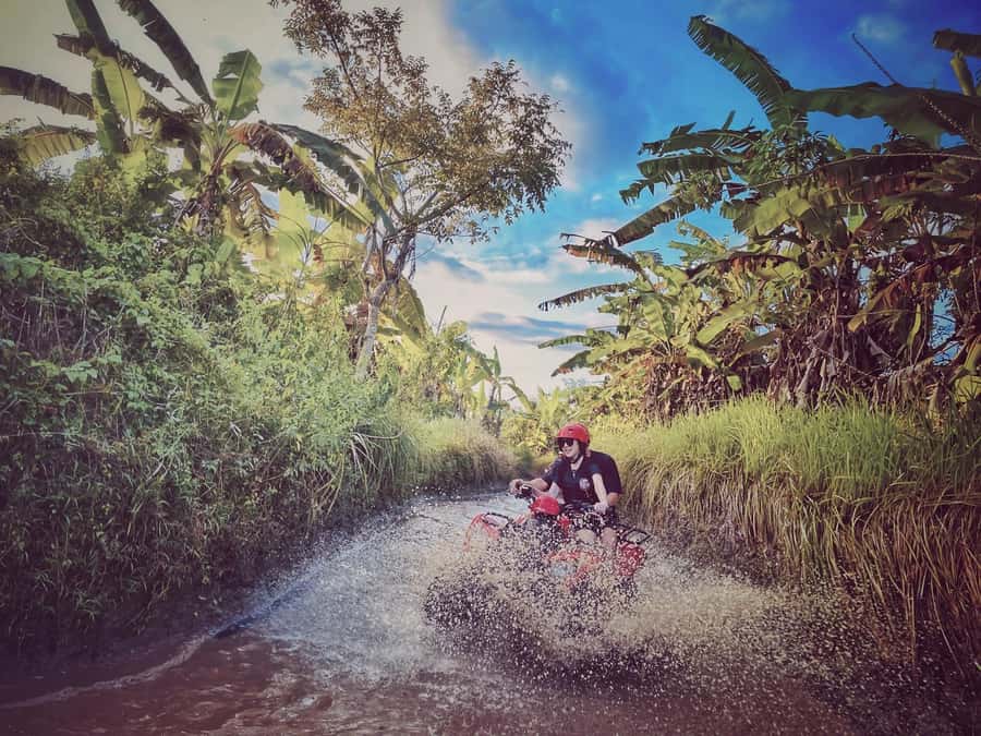 Bali: Blue Lagoon Snorkeling & Waterfall Tour with Lunch - Who will get the most from this tour