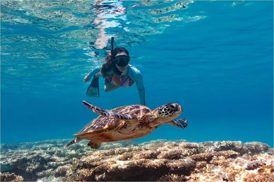 Bali: Blue Lagoon Snorkeling with Lunch & Transport - Key points to know before booking