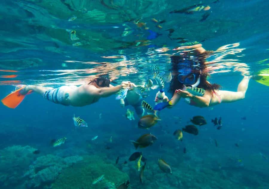 Bali: Blue Lagoon Snorkeling with Lunch & Transport - Two Bali snorkeling sites in one day