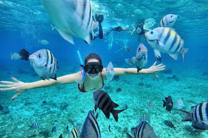 Bali Blue Lagoon Snorkeling with Optional Tour & Activities - The guides, equipment, and safety