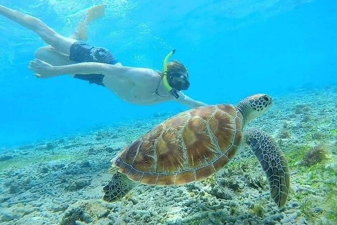 Bali Blue Lagoon Snorkeling with Private Transfer & Lunch - Tanjung Jepun Beach: a second view of the reef