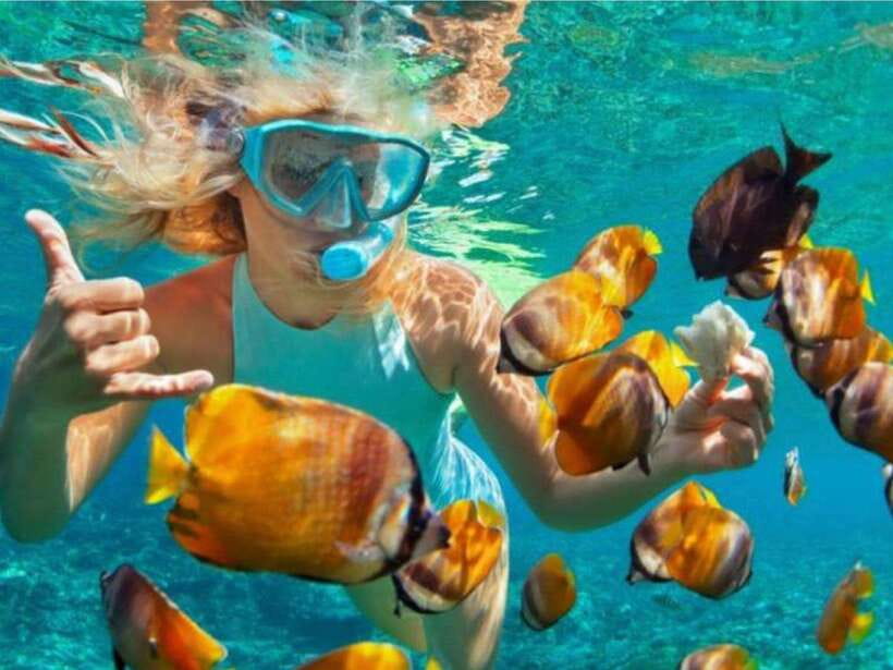 Bali: Blue Lagoon & Tanjung Jepun Snorkeling & lunch - Key points at a glance
