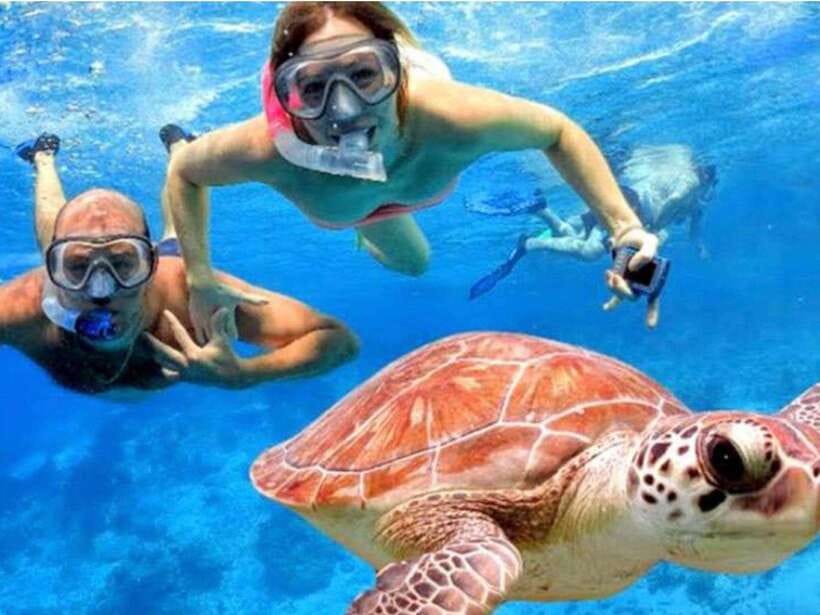 Bali: Blue Lagoon & Tanjung Jepun Snorkeling & lunch - Two Bali snorkel sites in one morning