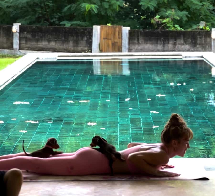 Bali: Canggu & Uluwatu Puppy Yoga Class & Refreshing Drinks - What the Bali puppy yoga hour is really like