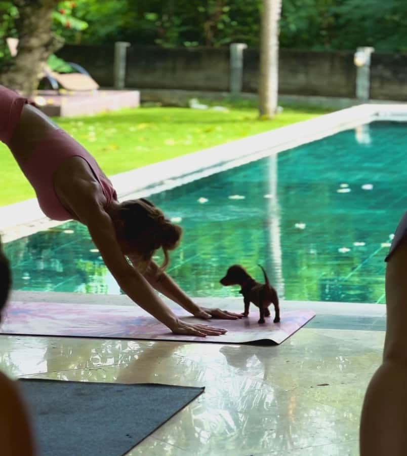Bali: Canggu & Uluwatu Puppy Yoga Class & Refreshing Drinks - How much yoga should you expect?