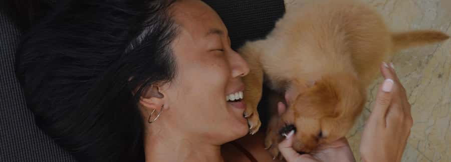 Bali: Canggu & Uluwatu Puppy Yoga Class & Refreshing Drinks - Is $35 good value?