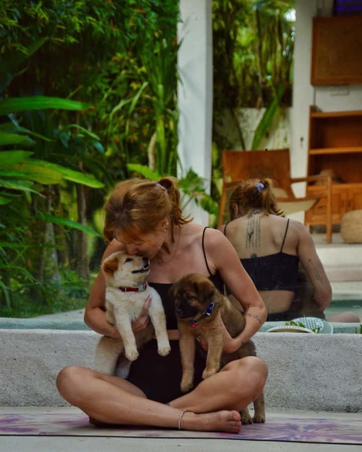 Bali: Canggu & Uluwatu Puppy Yoga Class & Refreshing Drinks - Why the rescue connection matters