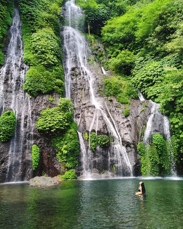 Bali: Cliff Jumping Gitgit Waterfalls & Rice Terrace Tour - Who will get the most from this tour?