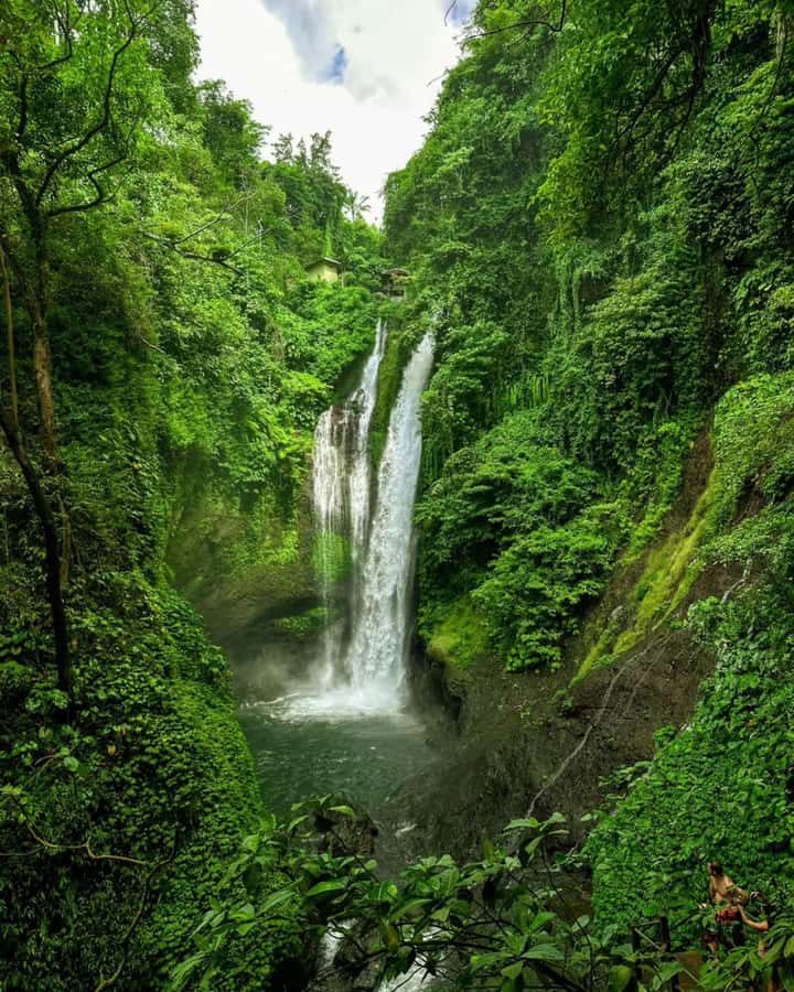 Bali: Cliff Jumping Gitgit Waterfalls & Rice Terrace Tour - Aling-Aling is the main event