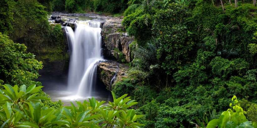 Bali: Costumized Tour with Private Transport and Guide - What the guide adds beyond driving