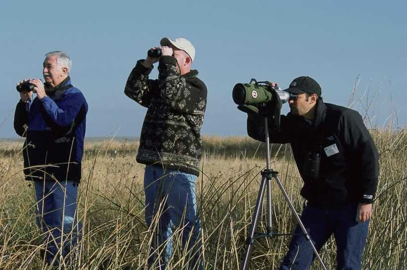 Bali: Countryside Bird Watching Tour with Hotel Transfer - What to bring and how to improve your sightings