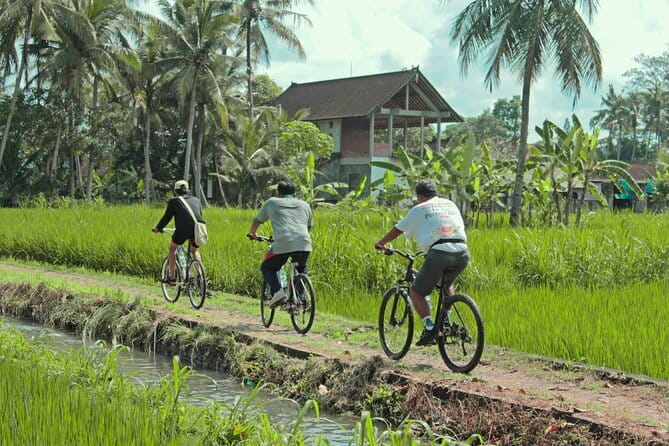 Bali Countryside Eco Cycling Tour include Lunch - Leaving Seminyak for the Balinese countryside