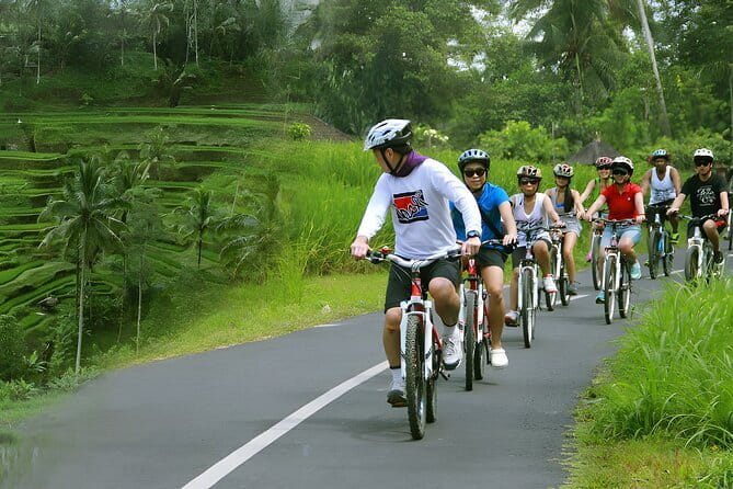 Bali Countryside Eco Cycling Tour include Lunch - Weather, fitness, and what to bring