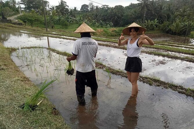 Bali Cultural Heritage Bamboo Forest Tour (Private All Inclusive) - The Penglipuran Bamboo Forest