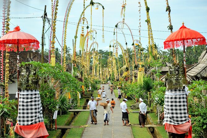 Bali Cultural Heritage Bamboo Forest Tour (Private All Inclusive) - What the private format is worth at $114