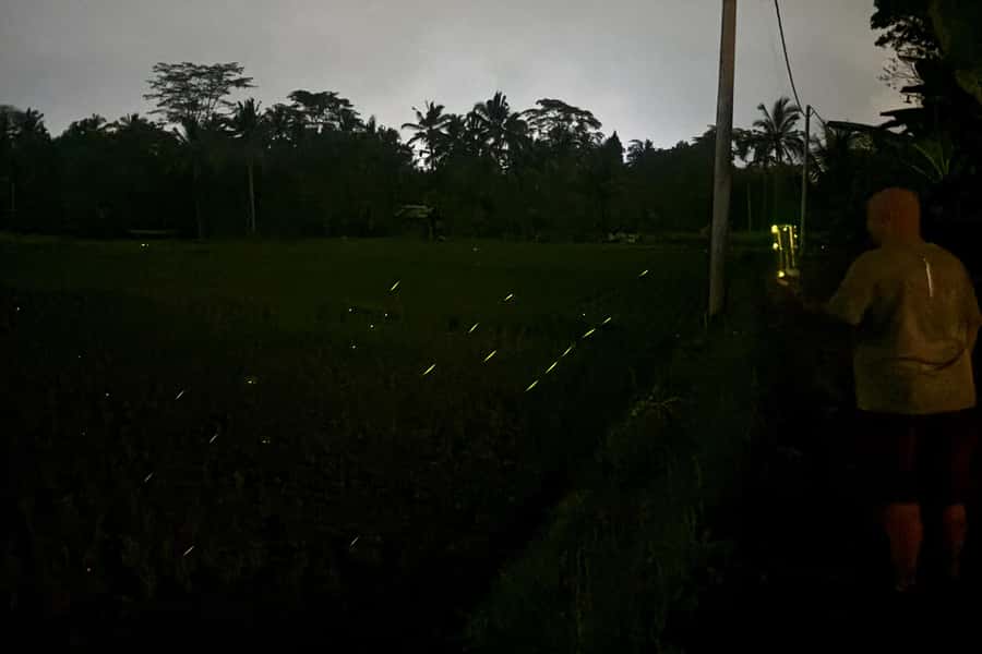 Bali: Cultural Ritual, Local Cuisine & Firefly Adventure - Walking through an old Balinese village