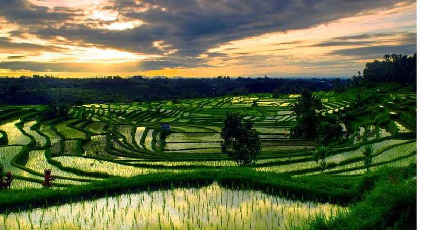 Bali: Customised North Bali Tour With Hotel Transfer - Banjar Hot Spring: a short chance to swim