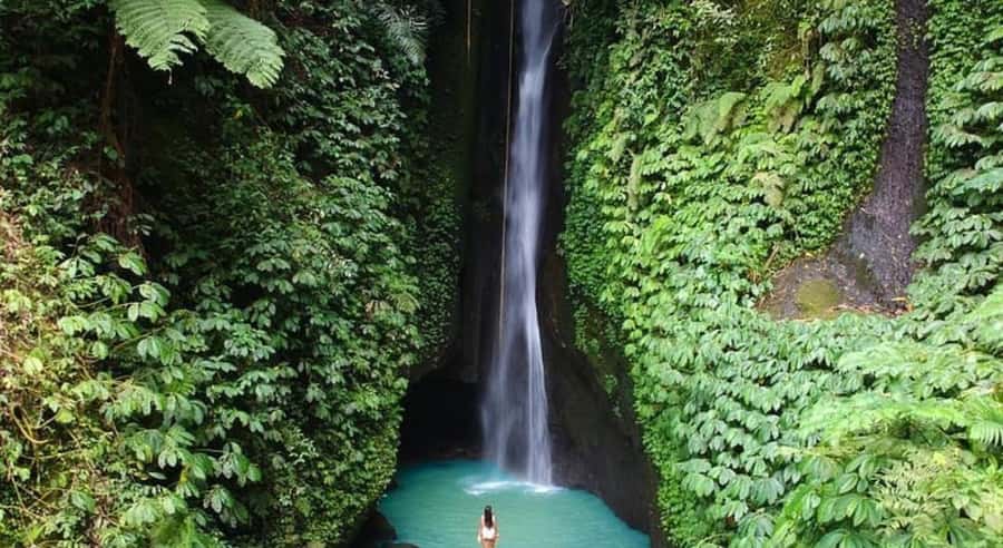 Bali: Customised North Bali Tour With Hotel Transfer - What the $43 price really covers