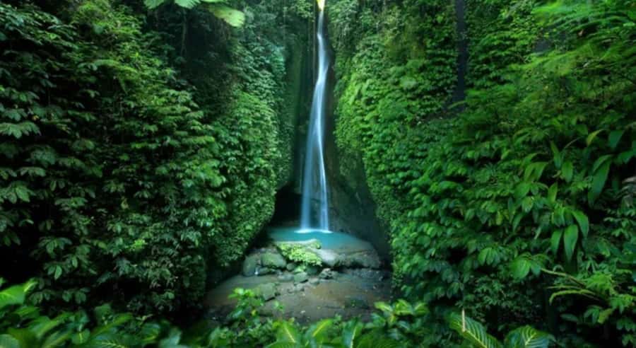 Bali: Customised North Bali Tour With Hotel Transfer - Jatiluwih Rice Terraces: the strongest first stop