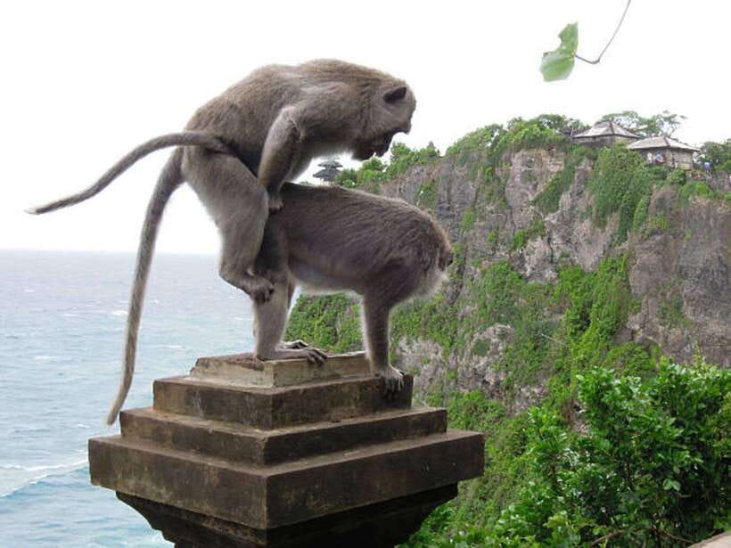 Bali: Customizable Beach Day Tour with Hotel Pickup - Uluwatu Temple above the Indian Ocean