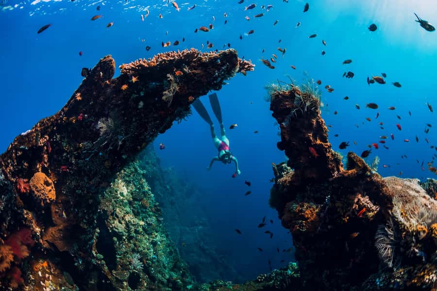 Bali: Customize Your Own Private Guided Tour in Bali - Key points to know before booking