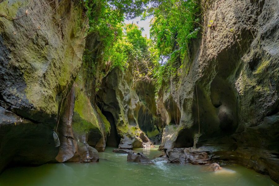 Bali: Customize Your Own Private Guided Tour in Bali - Pack for temples, heat, and wet walks