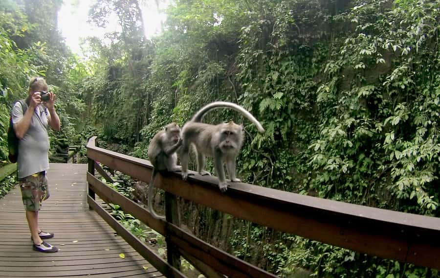 Bali: Customize Your Own Private Guided Tour in Bali - The real value of a custom Bali day