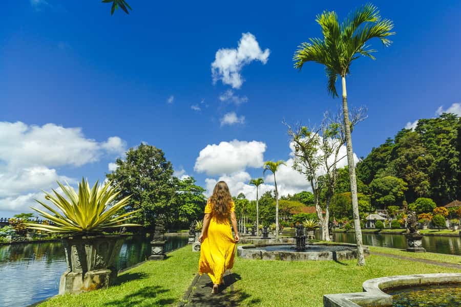 Bali: Customize Your Own Private Guided Tour in Bali - Central Bali: rice terraces, temples, and waterfalls