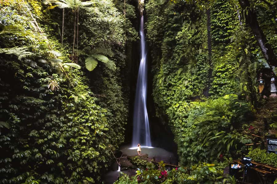 Bali: Customized Private Car Charter with Optional Guide - A Bali day built around your priorities