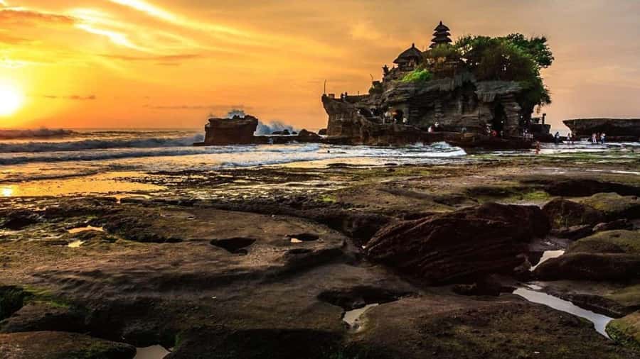 Bali: Customized Private Car Charter with Optional Guide - Why a private car helps on Bali’s roads